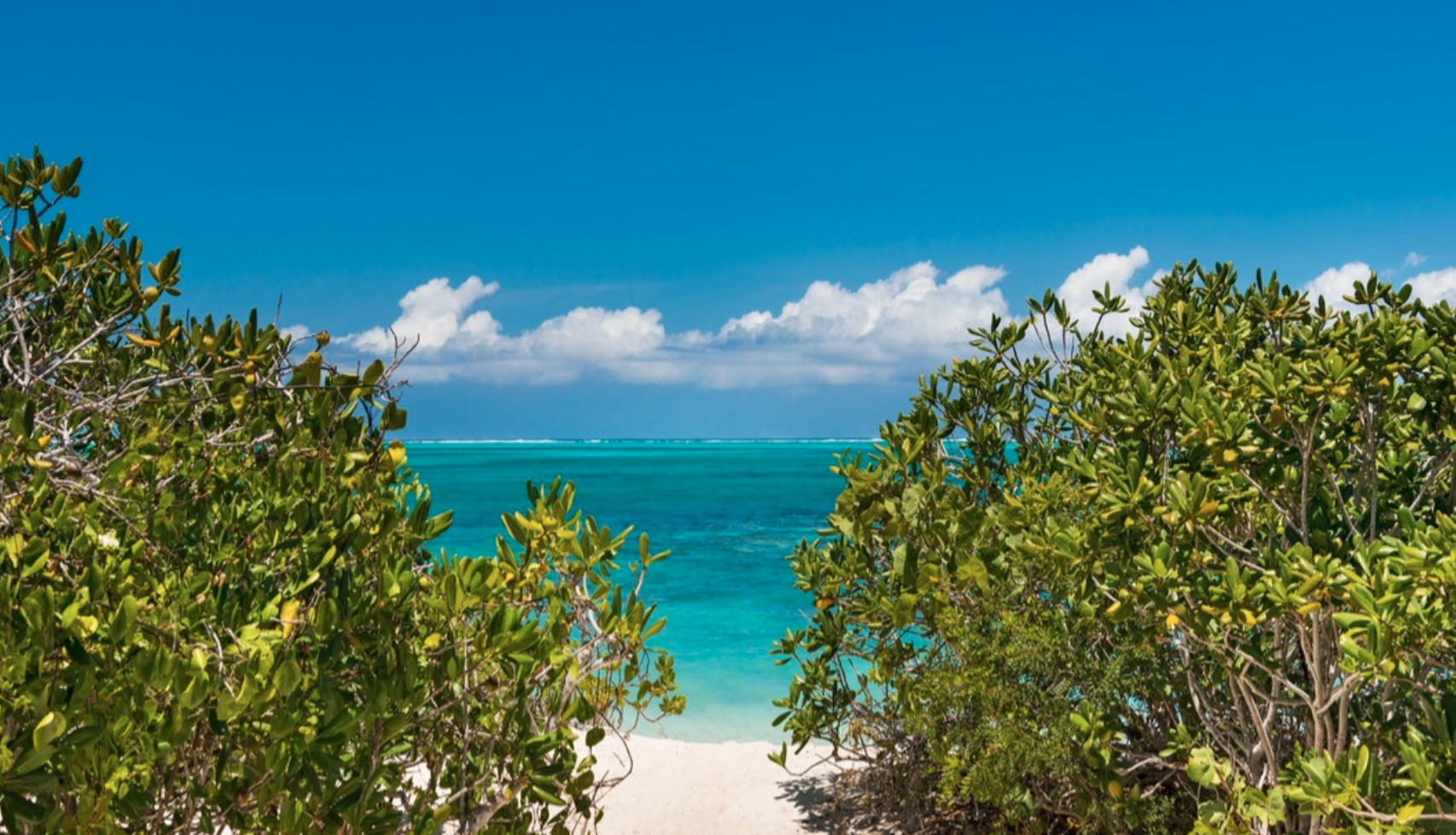 Enclave House - Image 20